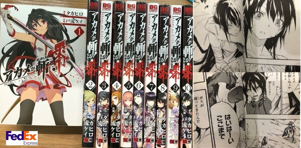 Akame ga Kill Zero Vol.1-10 Complete Full Set Manga comics Japanese version