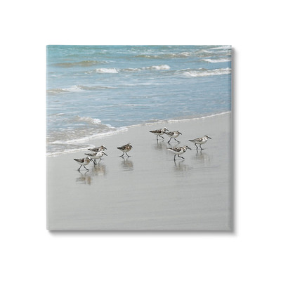Stupell Industries Sandpipers Flock Sandy Beach Shore Canvas Wall Art Design By