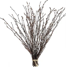 17 Inch Natural Birch Branches Dried Twigs Wreath Making 30Pcs, Brown 