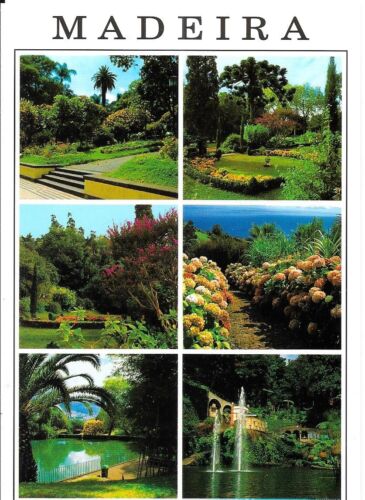 Ak Funchal (Madeira/Portugal), Gartenansichten - Afbeelding 1 van 1