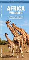 James Kavanagh (U. A.) | Africa Wildlife | BroschüRe | Englisch (1999) | Ordner