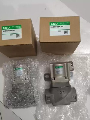 1pcs CKD SAB1W-25A-RB NEW #WD1