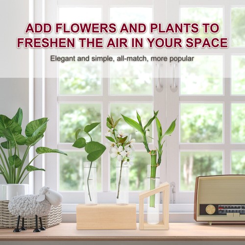 2pcs Desktop Glass Vase Glass Test Tube Vase Bulb Vase Planter Desktop Bulb Vase - Picture 3 of 12