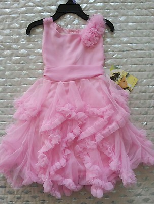 Biscotti girls dress pink ruffled 3d floral design sz NWT