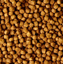 10KG PREMIUM 4MM POND PELLETS Pettex koi carp goldfish fresh water fish feed