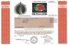 Fr&uuml;chte der Baumwolle 2000 Fruit Of The Loom Robert Knight Warwick Cayman Island