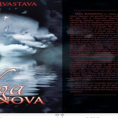 Olga Rodionova Deepak Shrivastava Hardcover Author Solutions Inc