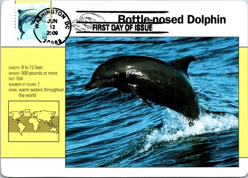 Dr Jim Stamps Maximum Card Dolphin 64C Fdc