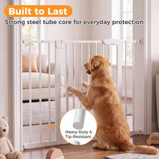 Baby Gate with Auto Close