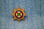 British Army Irish Guards Pin Lapel Hat Tie Coat Cap Jacket Badge Replica