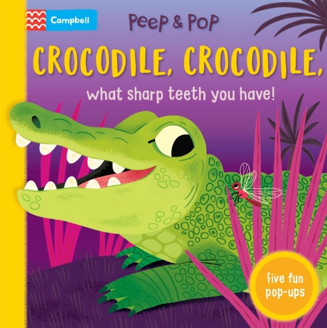 Crocodile Crocodile What Sharp Teeth You Have by Books Cambell (HB 2025) - Image 2