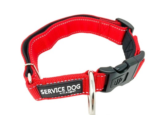 ALBCORP Reflective Service Dog Collar- Rubber Patch-Durable Nylon - Picture 20 of 54
