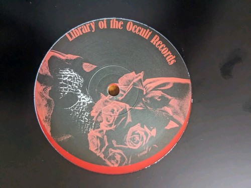 DREAM DIVISION-BLOOD BANQUET LTD 12" BLOOD RED VINYL 250 ONLY NEW / UNPLAYED - Foto 4 di 4