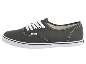 vans authentic lo pro pewter shoe
