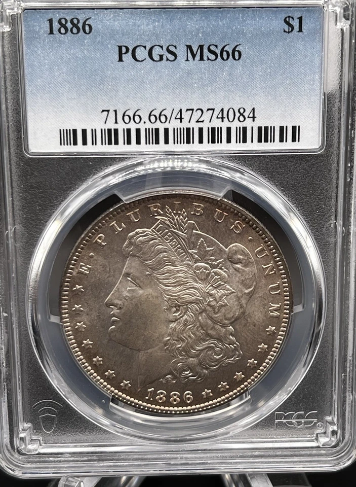 1886 Morgan Dollar PCGS MS66 Beautiful Gem - 25220 - Image 3 of 3