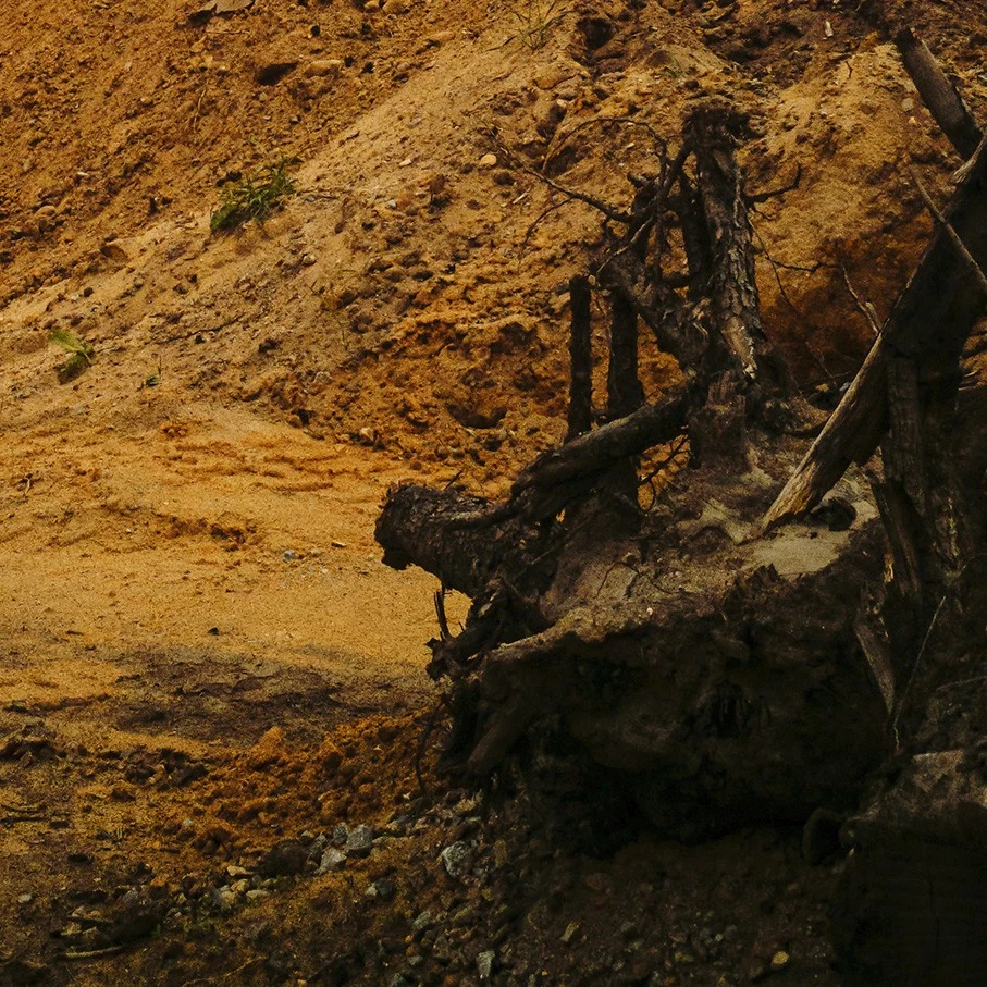 Großformatiges Foto auf Dibond a. Ausstellung, Landschaft, Architektur, abstrakt - Bild 4 von 4