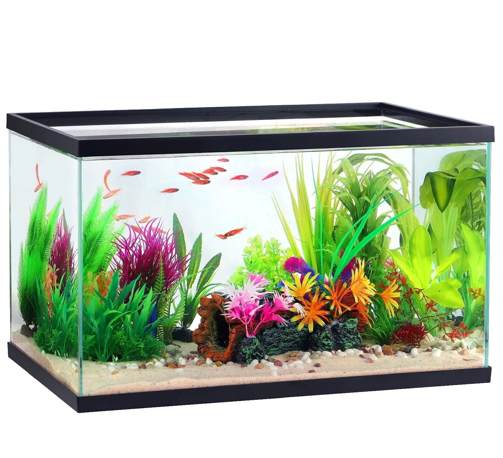 Rectangle (Standard) Glass Tank Aquarium Tanks