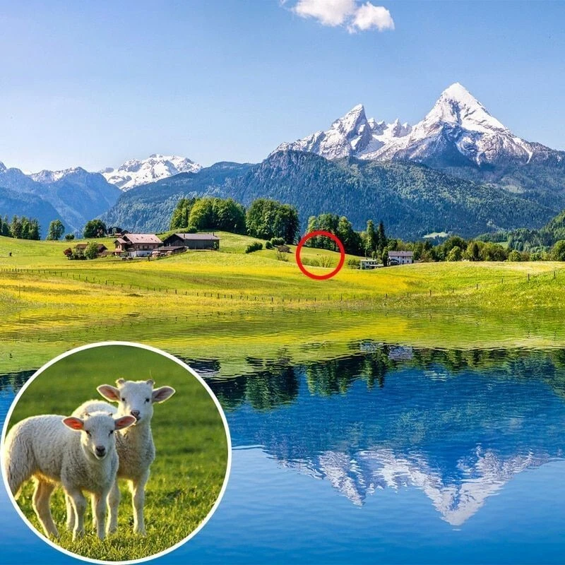 Visionking 8X40 BAK4 Monoculars Zoom FMC Prism Telescopic Telescope  HD - Image 2 of 4