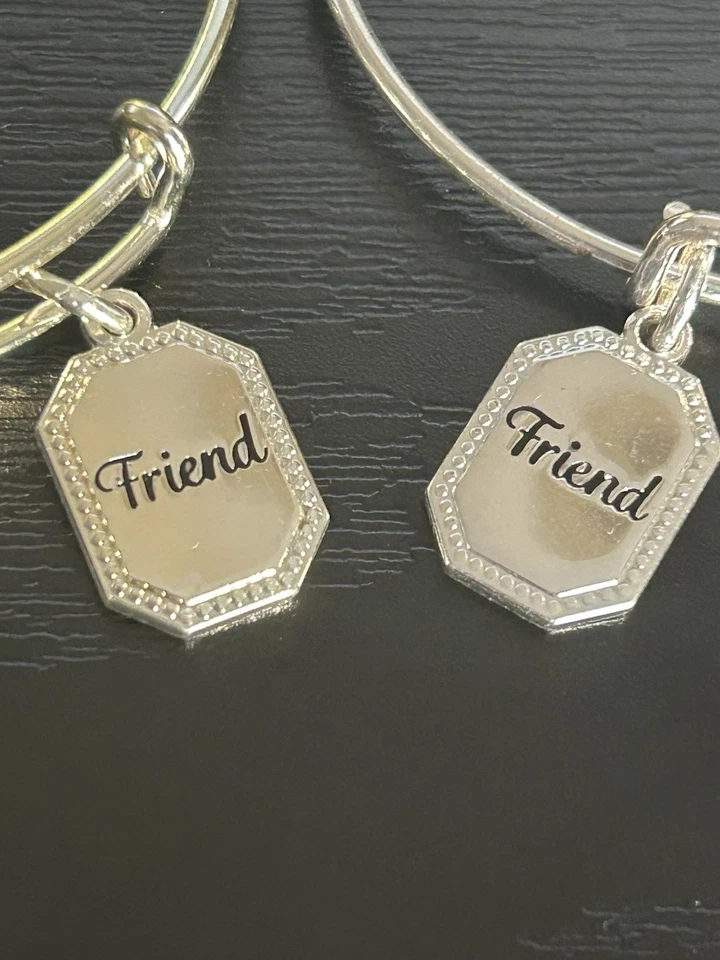 Alex and Ani Conjunto de Pulseras Brazalete Amistad Lote de 2 Foto 2 de 4