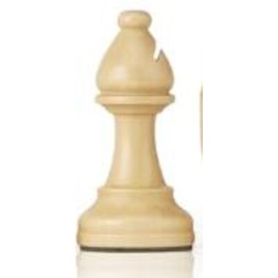 warm plain chess pieces Only used for 3657489warm,1pc,second-hand products
