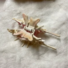 YVMIN RIPPLE CONCH HAIR CLAW