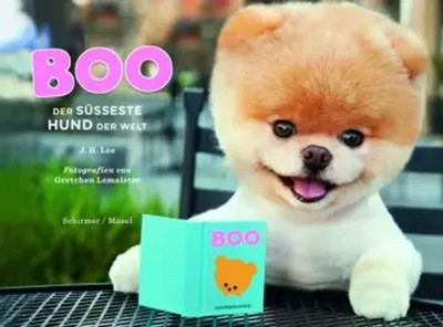J. H. Lee | Boo - Der süßeste Hund der Welt | Buch | Deutsch (2012) | 80 S.