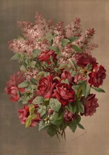 9702.Decoration Poster.Room Wall art.Home decor.Bouquet of Rose flowers painting