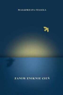 Zanim zniknie cień (cien) MAŁGORZATA FELICKA (MALGORZATA) / Stowarzyszenie Pisar