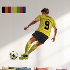 Foto 14 di 21