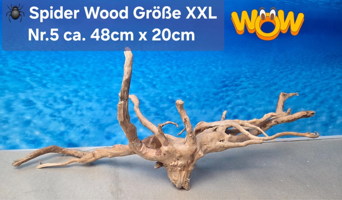 Xxl Aquarium Wurzel online kaufen | eBay.de