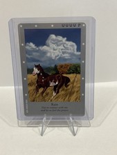 Bella Sara "Rain" Danish Silver Rare Card 2005 E Starter Box Mint