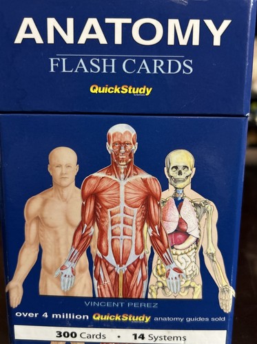 Anatomy Flash Cards QuickStudy 300 Cards 14 Systems. EUC - 第 3/8 張圖片
