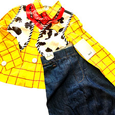 Disney Store Toy Story Sheriff Woody Halloween Costume Toddler Boy Size 3