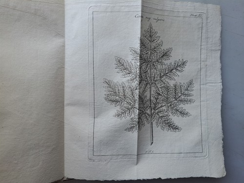 Original 1779 DUTCH Magazine Vaderlandsche Letter-Oefeningen w/botanical print - Picture 2 of 3