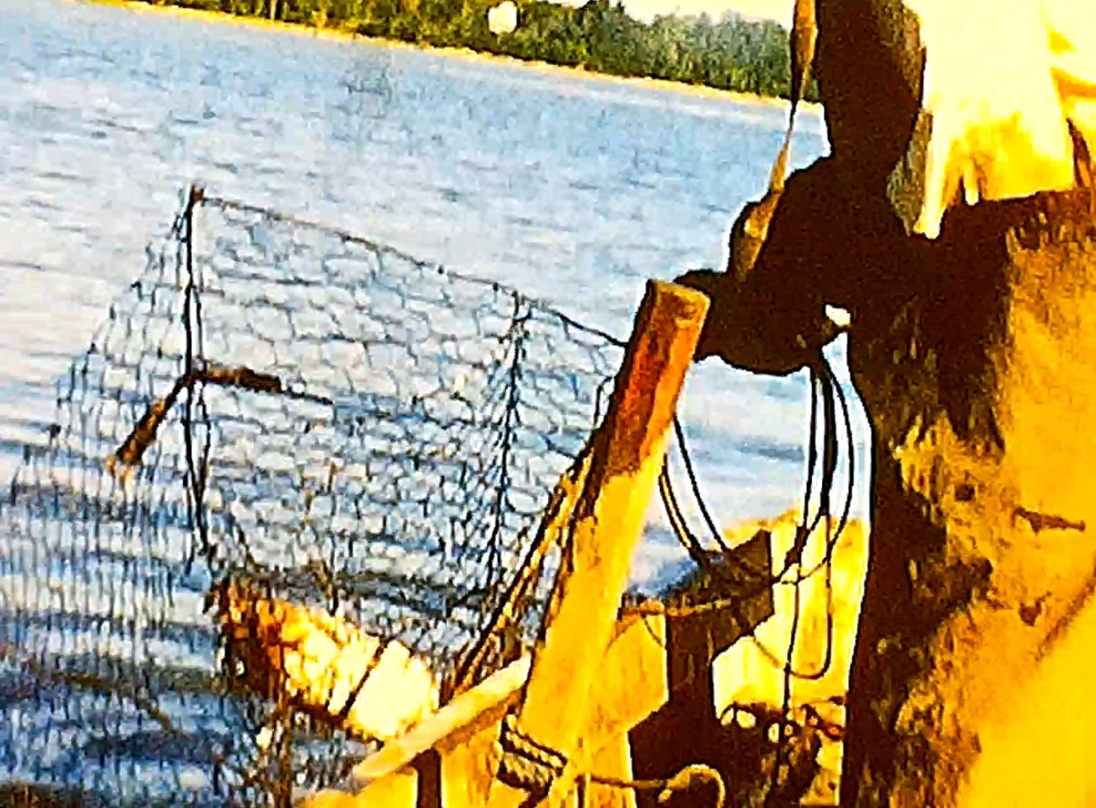 Picture 4 of 16
