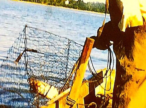 1960s 8mm Film African American Family Crabbing Virginia - Picture 4 of 16