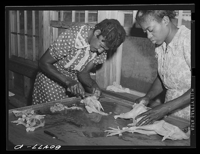 Photo:Enterprise Alabama 1941 Women Dressing Chickens FSA Canning Station