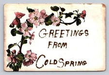 Vintage Greetings From Cold Spring Floral Postcard Th. E L Serie Flora II