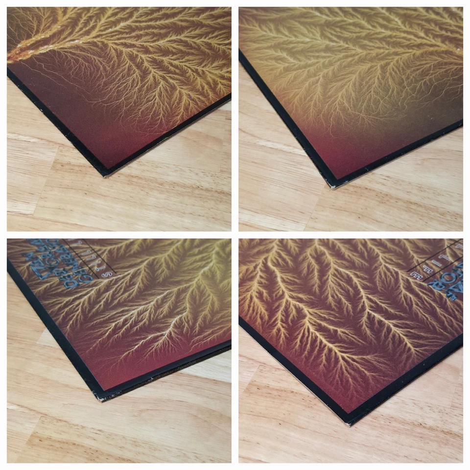 Van der Graaf Generator Still Life 1976 LP 1st UK Mad Hatter Charisma CAS 1116 - Image 3 of 4