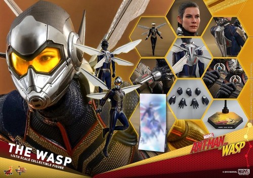 Hot Toys 1/6 Marvel Studios 12" Ant-Man 3.0 MMS497 and the WASP MMS498 NEW - Picture 7 of 12