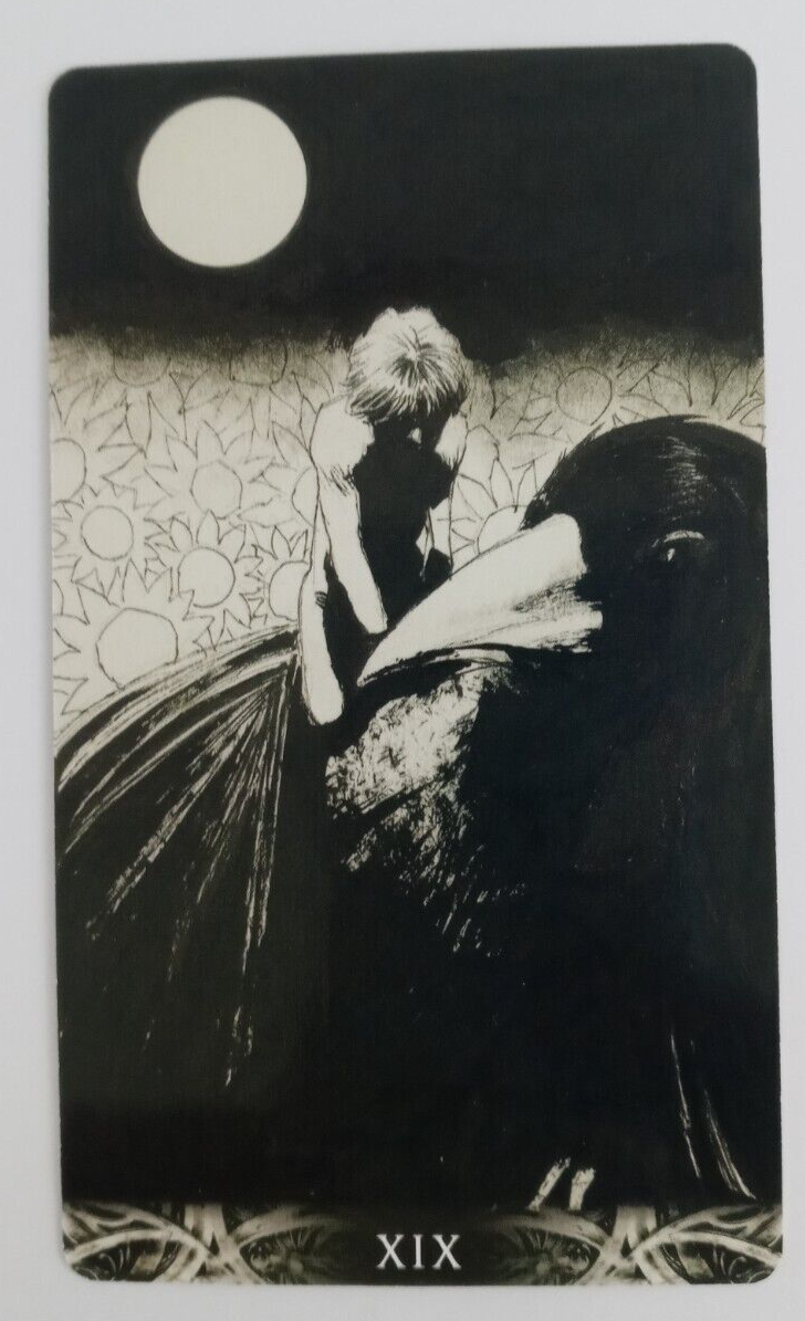 Murder of Crows Tarot Card by Corrado Roi XlX The Sun 4.75