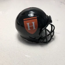 Hendrix Warriors custom pocket pro helmet D3 Division 3