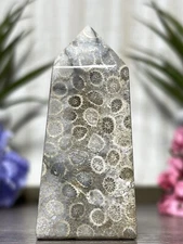 CORAL TOWER - Mineral White Point Sea Fossil Chakra Reiki Stone Crystal Witch
