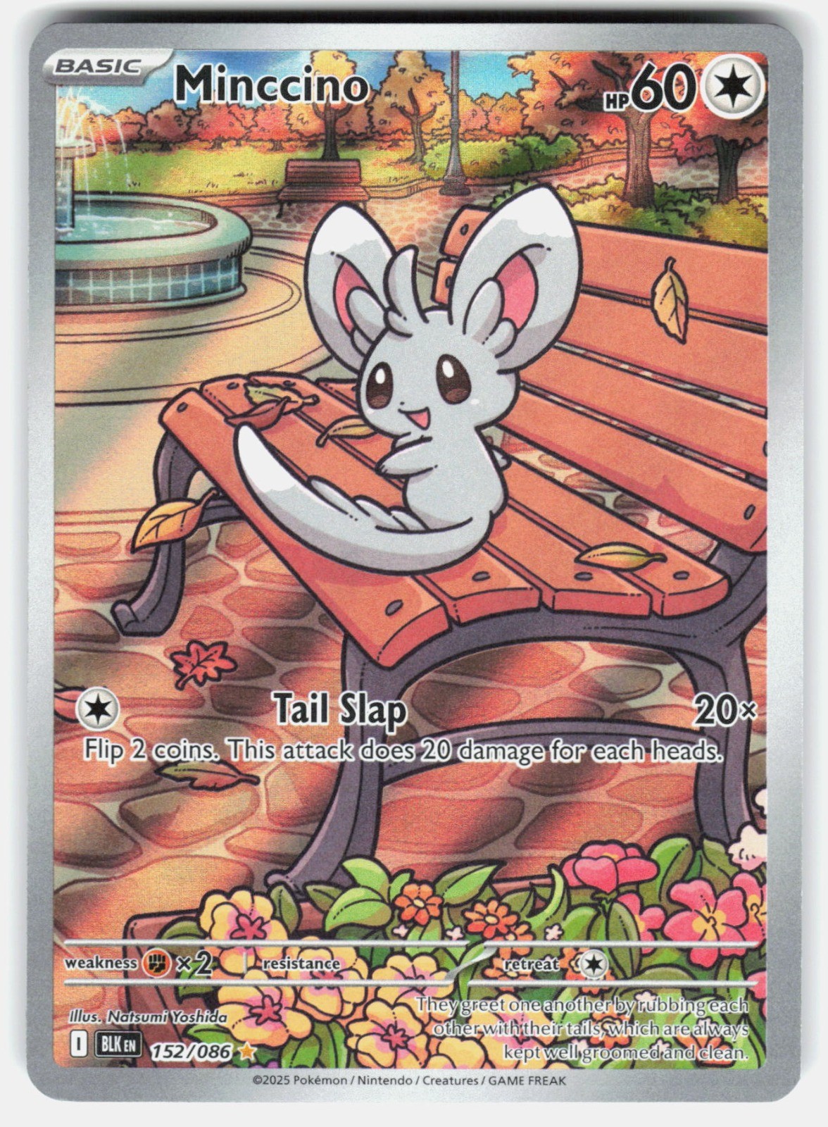 Minccino Holo Illustration Rare SV: Black Bolt 152/086 NM