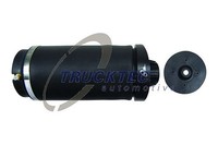 Trucktec Automotive Luftfeder, Fahrwerk Hinterachse Beidseitig FüR MERCEDES-BENZ