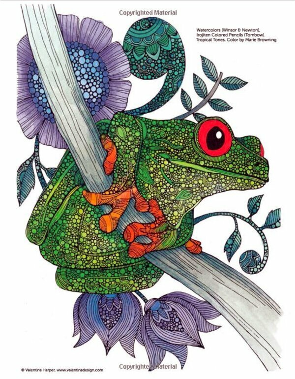 Browning Buck And Doe Coloring Pages