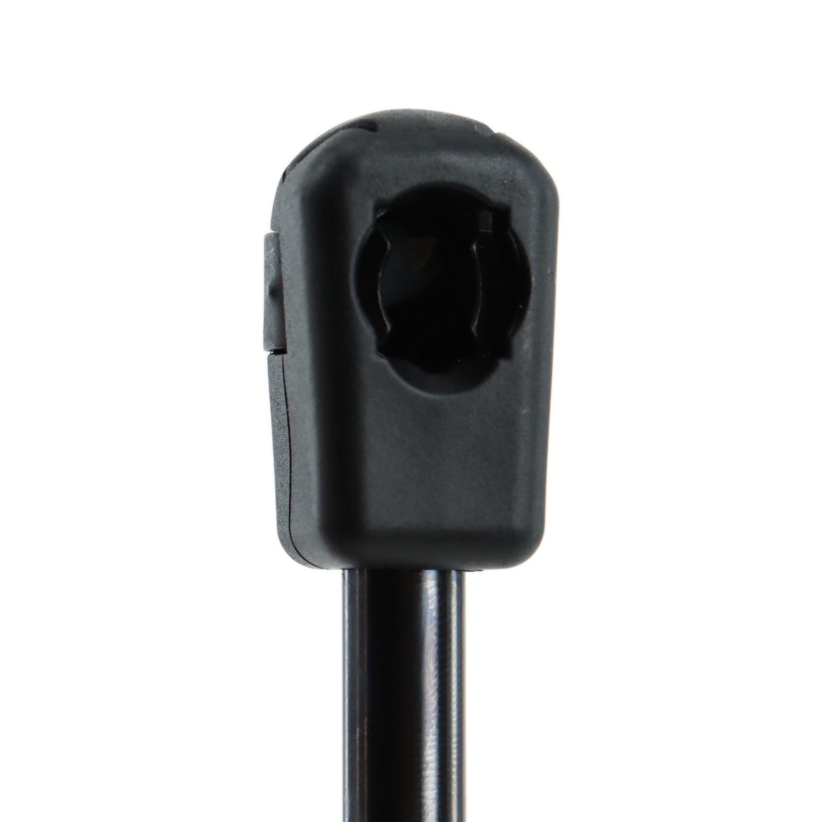 2Pcs Rear Trunk Lid Tailgate Lift Support Shock Strut For 08-19 Dodge Challenger