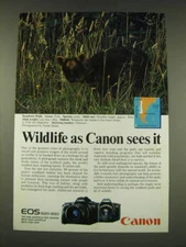 1989 Canon EOS 620 and 650 Cameras Ad - Southern Pudu