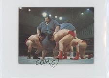1974 Yamakatsu New Japan Pro Wrestling McGuire Brothers #21 07yc