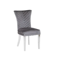 Pemberly Row 2Pc Stainless Steel Legs Chair Finish with Velvet Fabric in Gray